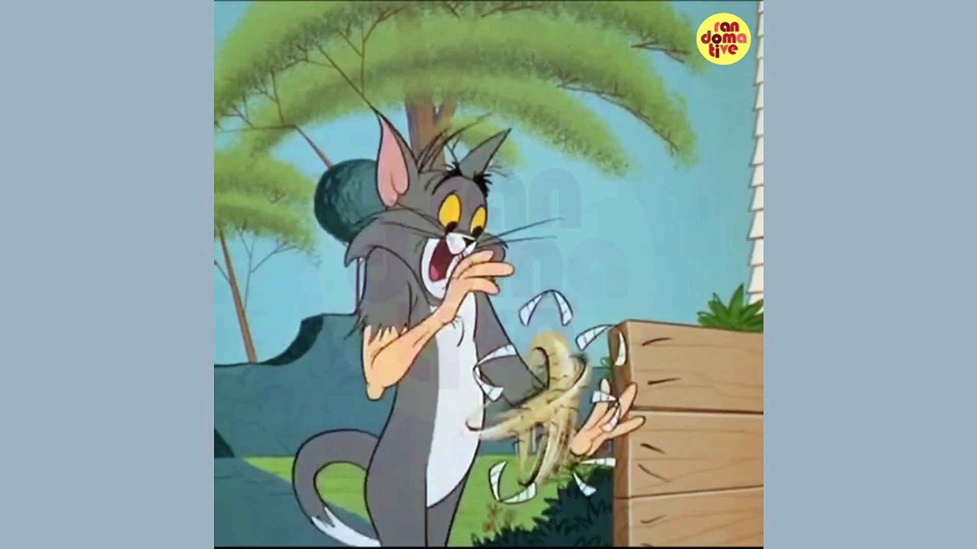 Tom Vs Little Dog | Tom and Jerry | Tom & Jerry Show | Cartoon Movies | Cartoon For All Ages | C