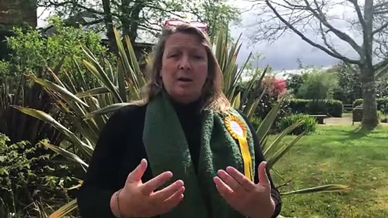 Holly Greenberry-Pullen is elected as Lib Dem councillor for West Devon Borough Council's Tavistock North Ward
