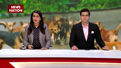 SUPER SIXER: आवारा कुत्तों ने फिर एक बच्चे को बनाया शिकार, लोगों ने किया थाने में हंगामा