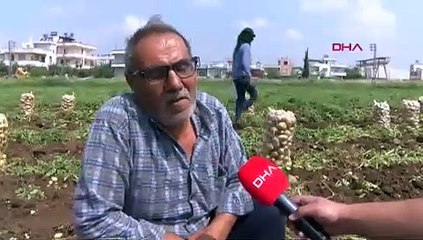 Çiftçilerin market boykotu hüsranla sona erdi: ''Ürünlerimiz tarlada çürüyecekti''