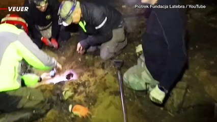 Amateur Archaeologists Found Five Mysterious Skeletons at a Nazi Base