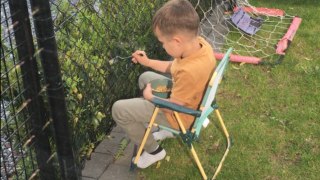 Beyond the fence: Dad backfires his little son's picky eating scheme