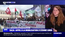 Mobilisations propalestiniennes dans les universités: 