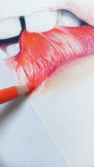 Dessin aux crayons de couleur - Réaliste