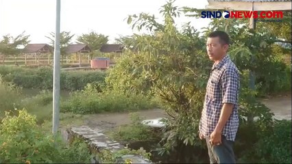 Download Video: Puluhan Ikan Ditemukan Mati Mendadak Akibat Air Muara Sungai Marana di Maros Sulawesi Selatan Berubah Warna