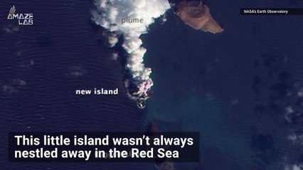 New Island Forms in the Red Sea in Just 4 Days!