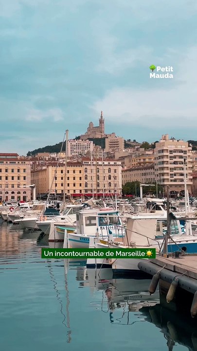 Plongez dans l'ambiance chaleureuse et authentique du restaurant Il Trio à Marseille !   Découvrez un voyage culinaire méditerranéen avec nos délicieuses spécialités préparées avec passion et savoir-faire.   Chaque bouchée est une explosion de sa