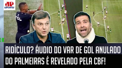 "ISSO É UM LIXO! UMA COISA GROTESCA!" ÁUDIO DO VAR do GOL ANULADO do Palmeiras PROVOCA DEBATE!