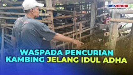 下载视频: Jelang Idul Adha, 17 Kambing Warga Depok Disembelih Pencuri di Dalam Kandang