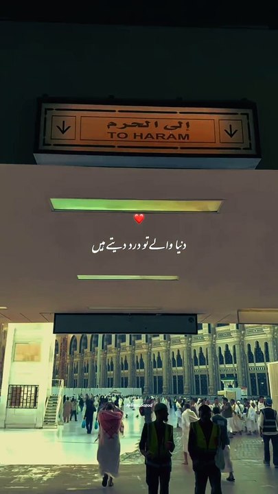 Dunya wale to dard dete he Nat by status