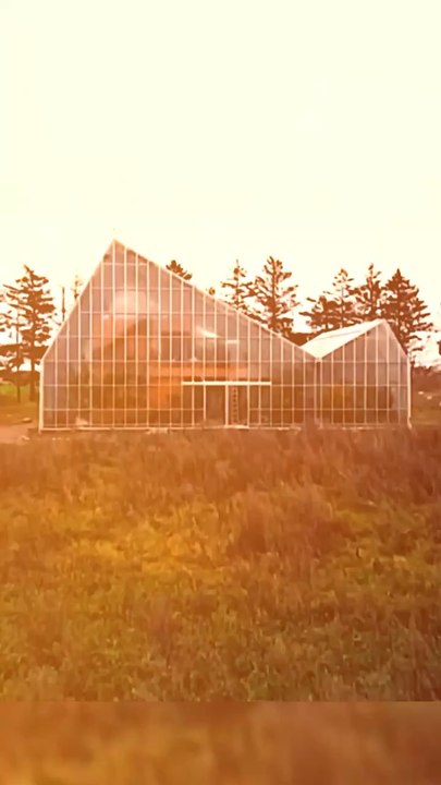 Abonne-toi pour suivre d’autres solutions positives !     @theimpactstory   Source : Nathurus   #innovation #ecologie #maison #architecture #environnement