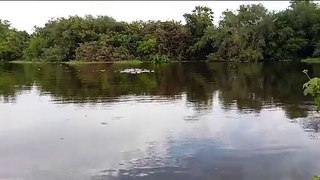 Mulher está desaparecida há cinco dias após se afogar com amiga no Rio Jaguaribe