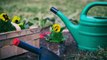 6 Consejos Esenciales De Jardinería Para La Primavera