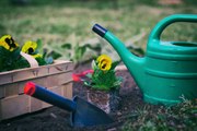 6 Consejos Esenciales De Jardinería Para La Primavera