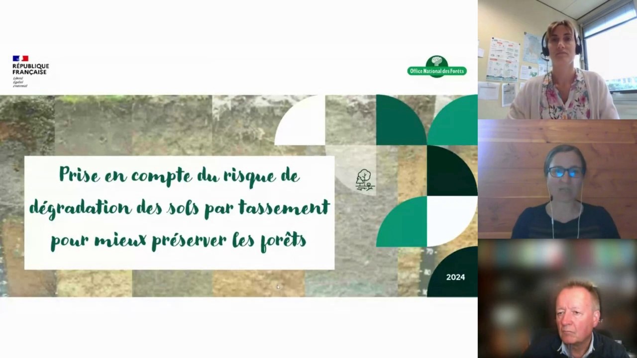 Webinaire #29 forêt et changements climatiques