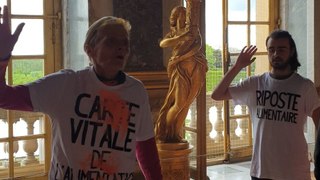 Château de Versailles : deux activistes de Riposte alimentaire interpellés après des jets de poudre orange