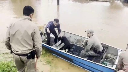 Sube a 37 la cifra de muertos por las inundaciones en Brasil