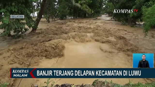 Banjir Terjang 8 Kecamatan di Luwu Sulsel, Jalur TransSulawesi Macet hingga 10 KM!