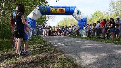 3Maj Flagę w Postominie