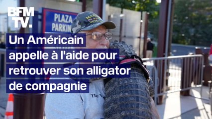 "S'il vous plaît, aidez-nous": un Américain appelle à l'aide pour retrouver son alligator de compagnie