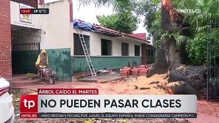 Escolares del colegio afectado por la caída de un árbol pasan clases virtuales aguardando culminen las obras