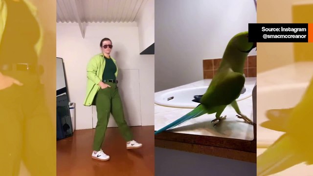 Hauska video: nainen tekee synkronoidun koreografian undulaatin kanssa