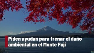 Piden ayudan para frenar el daño ambiental en el Monte Fuji