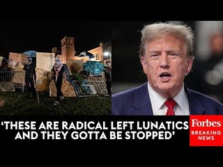 JUST IN: Trump Blasts 'Radical Left Morons' Protesting At UCLA, Columbia University