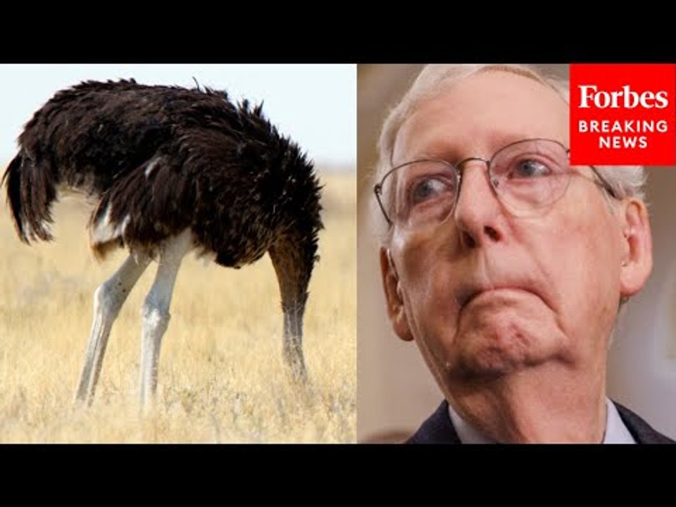 'More Like An Ostrich Than A Superpower': Mitch McConnell Slams Biden's Foreign Policy