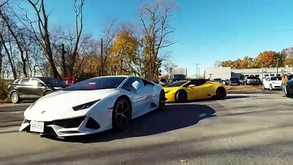 Cruising in a Lamborghini to Support Movember