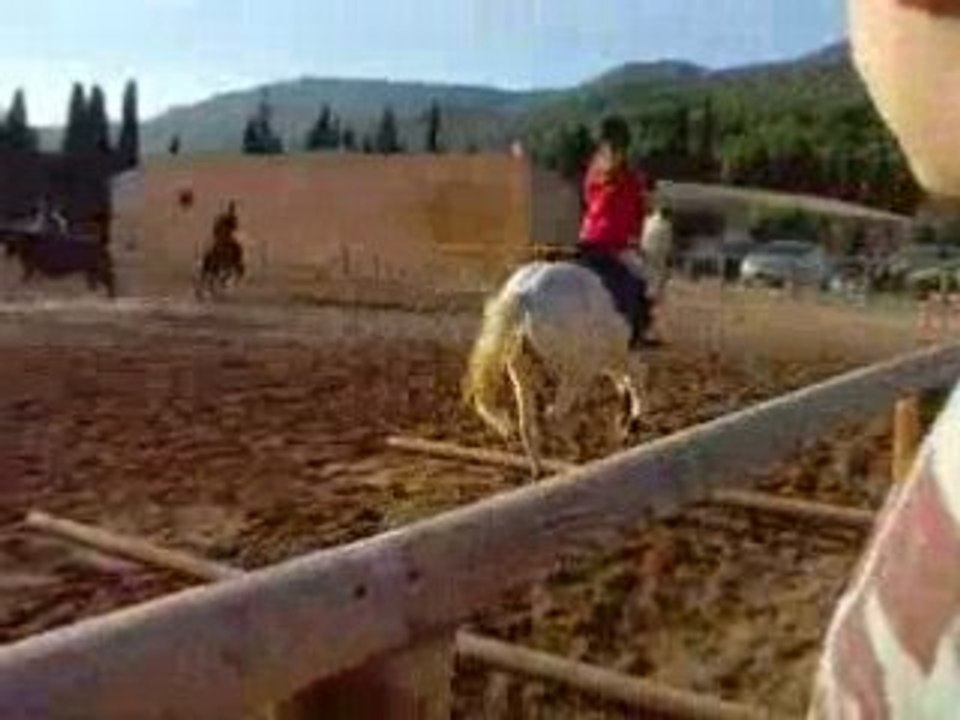 gitane et lou au galop sur des barres au sol