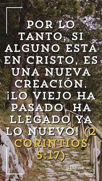 La palabra de Dios, Reflexiones de versículos de la biblia.