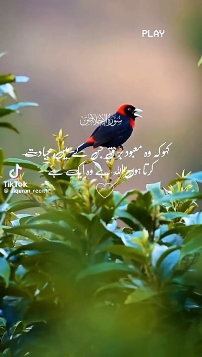 Telawat Quran pak