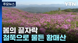 봄의 끝자락...진분홍빛 철쭉으로 물든 황매산 / YTN