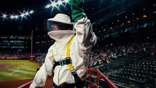 Pest control gets hero’s welcome at MLB stadium as bee colony delays game