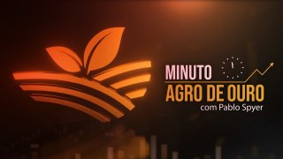 Cacau despenca, soja sobe, chineses e carne brasileira, top3 em ração e leilão | Minuto Agro - 04/05