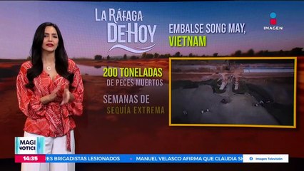Mueren alrededor de 200 toneladas de peces por sequía extrema en Vietnam