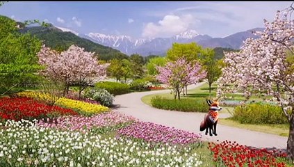 Angoor khatte Hain _ Chalak Lumri _  Urdu_Hindi Story _ 3D Cartoon _ The  Fox And The Sour Grapes 3.37