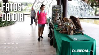 Exposição de abelhas e animais empalhados atraem visitantes no aniversário do Parque do Utinga
