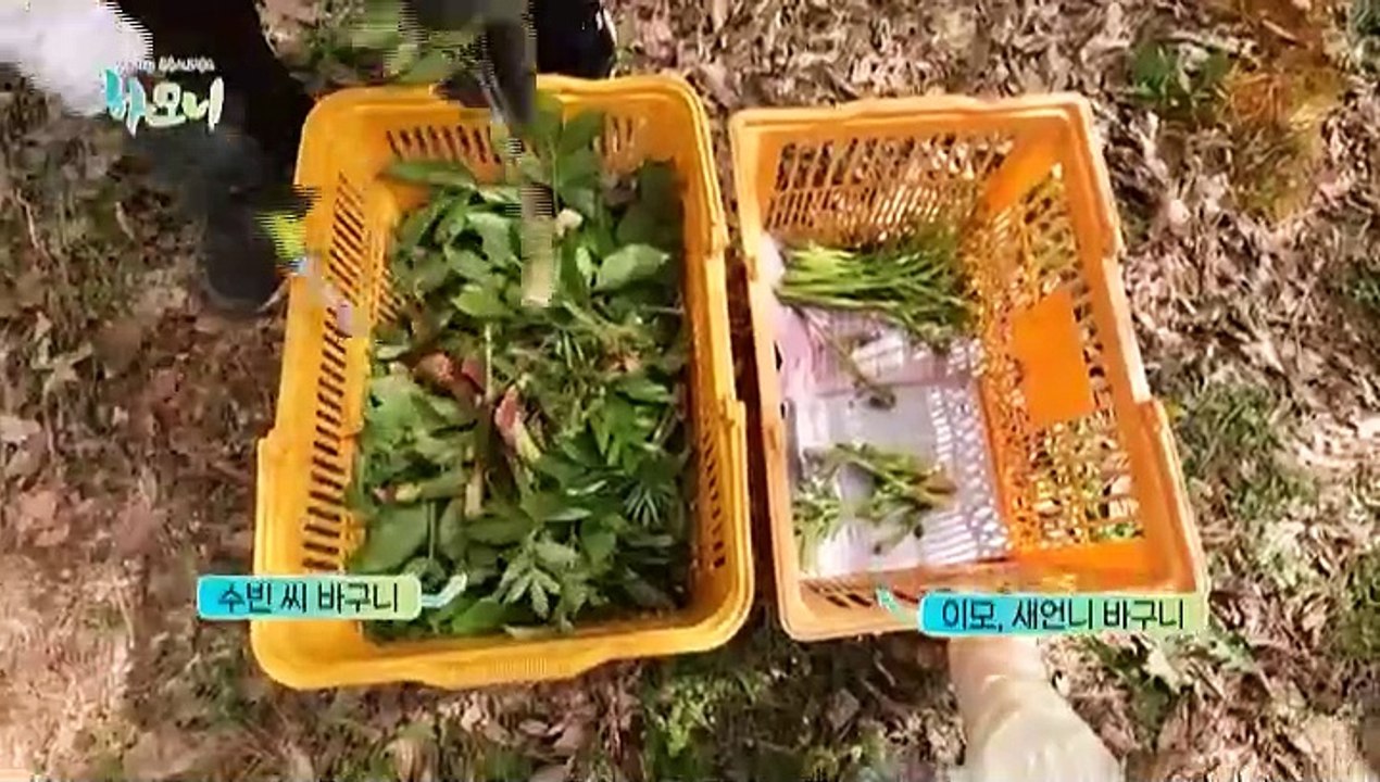 [하모니] 열혈 농사꾼! 수빈 씨의 드림 하우스 - 2부
