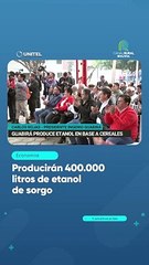 Producirán 400.000 litros de etanol de sorgo