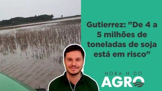 Safra de soja brasileira terá quebra após catástrofe no RS | HORA H DO AGRO