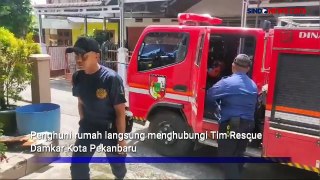Evakuasi Ular Kobra Sepanjang 1,5 Meter Dalam Bak Mandi Rumah Warga di Pekanbaru Riau