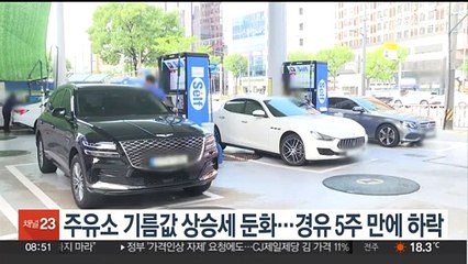 주유소 기름값 상승세 둔화…경유 5주 만에 하락