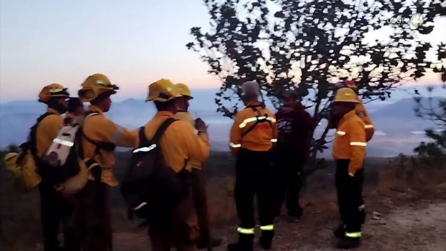 Incendios recientes en La Primavera son intencionales; van cinco detenidos: Alfaro