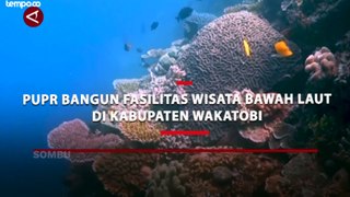 Sombu Dive, PUPR Bangun Fasilitas Wisata Bawah Laut di Kabupaten Wakatobi