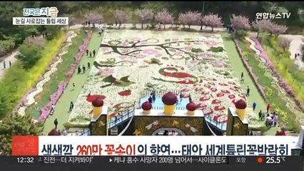'빨강·노랑·보라' 260만 꽃송이의 향연…태안 세계튤립꽃박람회