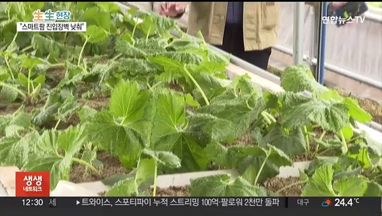 설치비 절반으로 뚝…가장 작은 스마트팜 장치 개발