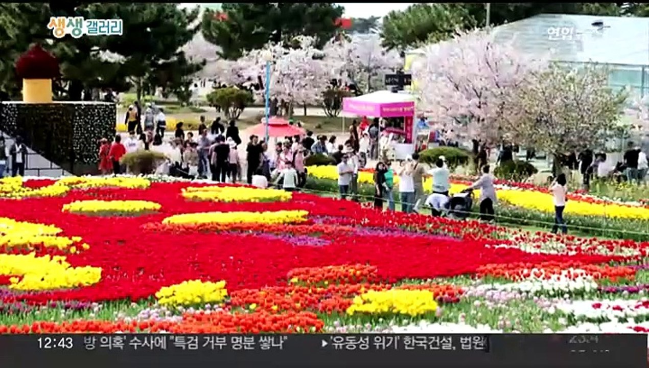[생생갤러리] 봄바다 질주하는 요트…부산서 아시아 세일링 축제 外