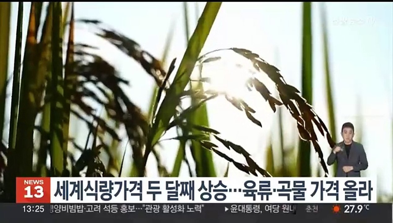 세계식량가격 두 달째 상승…육류·곡물 가격 올라